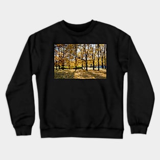 Autumn in Helsinki Crewneck Sweatshirt